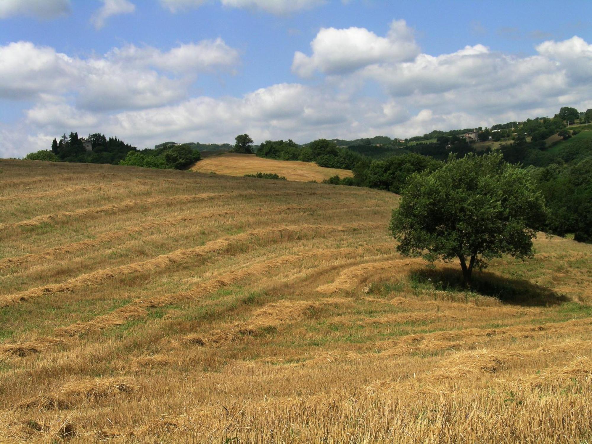 Azienda Agraria Montelujano Gubbio Dış mekan fotoğraf