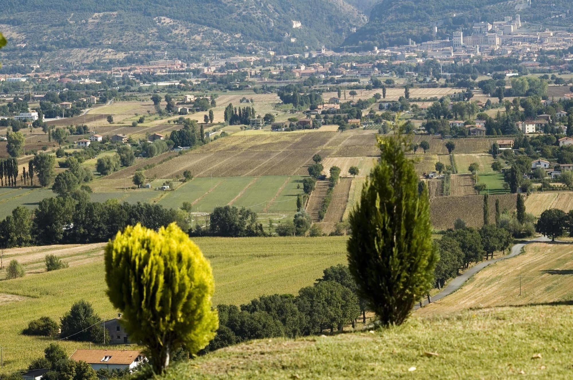 Azienda Agraria Montelujano Gubbio Dış mekan fotoğraf
